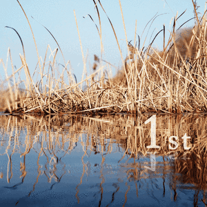 月亮代表我的心（翻自 齐秦）