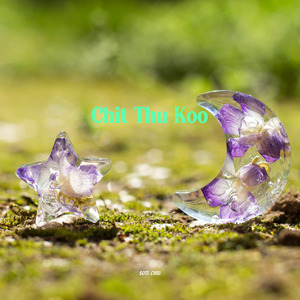 Chit Thu Koo