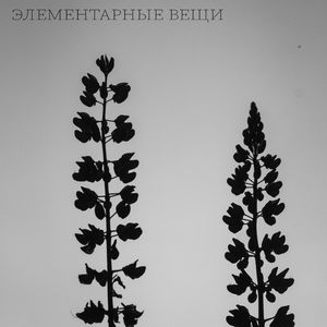 Элементарные вещи