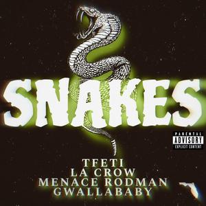 SNAKES