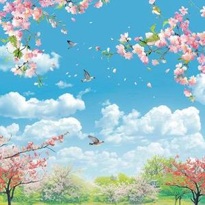 夕阳天歌4