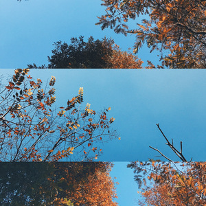 眼泪（Cover JackyCheung）