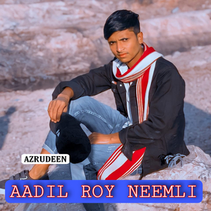 AADIL ROY NEEMLI