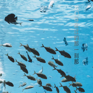 我们存在过的那一刹那