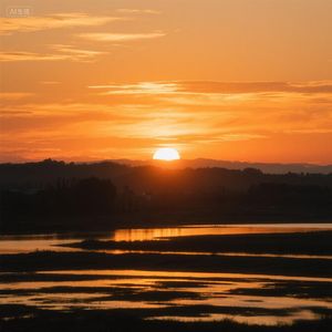 春风十里人未归