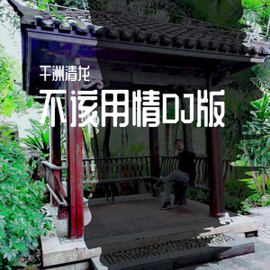 不该用情DJ版
