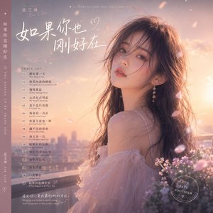 如果是你就好