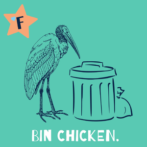Bin Chicken