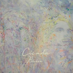 你再也讀不出我任何慾望