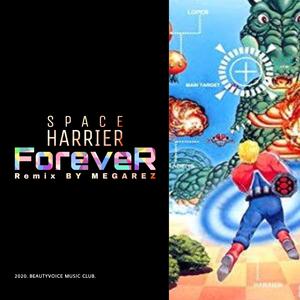 永远的太空哈利