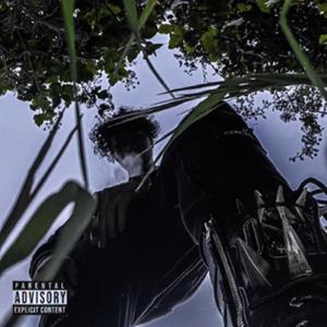 LIKE THAT (feat. PANDEMXNIUM)