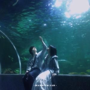 像鱼 - R&B深情女声