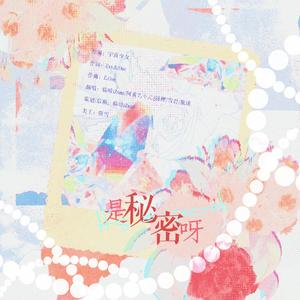 是秘密啊