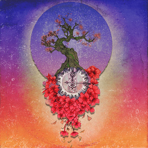 樱花秒针停摆时