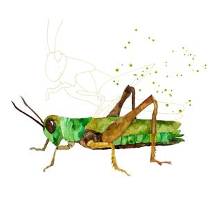 Maneo de Mens (feat. Marcos Cives)