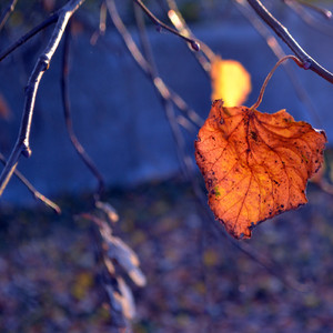 Karachi (Original Mix)