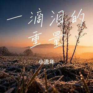 一滴泪的重量 (Cover 卢卢快闭嘴)