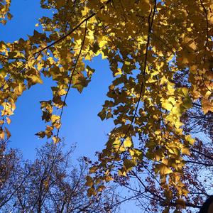 气象站台（翻自 是UU呀）