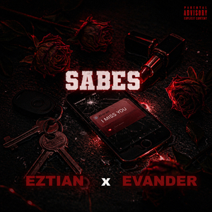 SABES