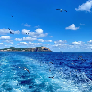 险境里的希望啊