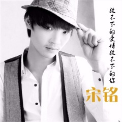 放不下的爱情放不下的你 (DJ版)