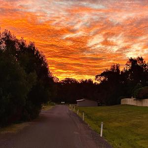 Get out the way (feat. Shea)