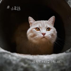 迷失深渊的猫 (开心版)
