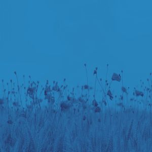 微妙的午睡心情