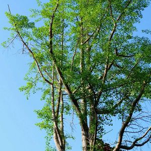 7e14_6421_6f20_9775143fd52de8f2969d45326923aa32 伴奏