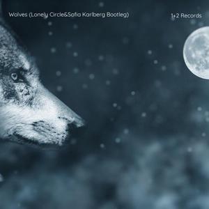 Selena Gomez-Wolves( Lonely Circle bootleg)（Lonely Circle / Sofia Karlberg remix）