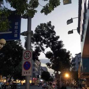 keep You Head Up Princess（翻自 野猫哲别）