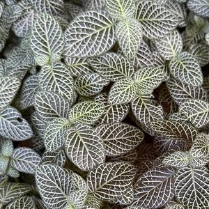 On and On (feat. DJ Scotty Doo)