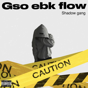 gso ebk flow