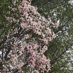 你眼里有光，我不惧世界荒唐