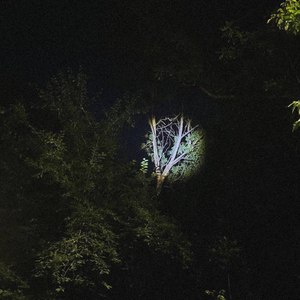 Головная боль