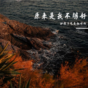 原来是我不够好