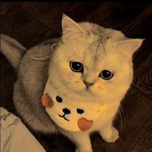 精焦小飞-如此难过(热播版)（焦小飞 remix）