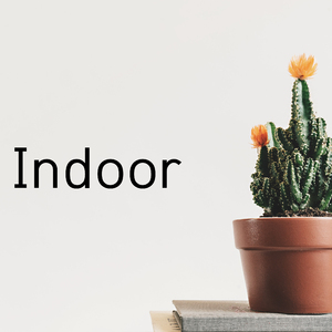 Indoor