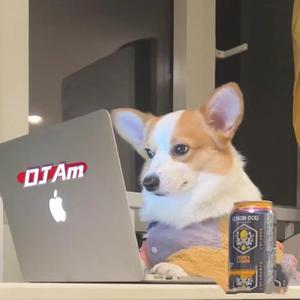 邵雨涵 - 快乐阿拉蕾(抖音版)DJ啊谋Remix