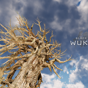 《敢问路在何方》吉他弹唱