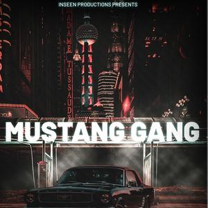 Mustang Gang