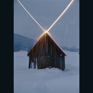 Dead Cats in a Foghorn