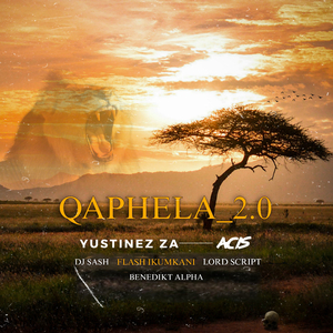 Qaphela 2,0 (Remix)