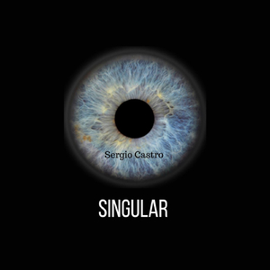 Singular