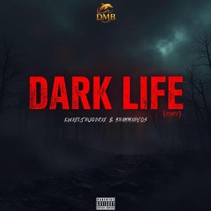 Dark Life (feat. Thugdrax & ShamahOvs) (Remix)