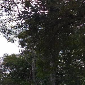 Sssssssssssssssssslllllll