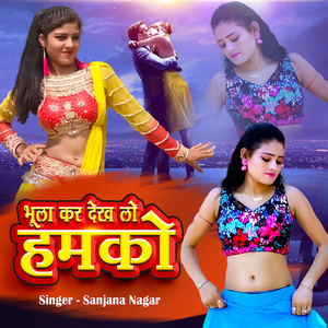 Bhula Kar Dekh Lo Humko