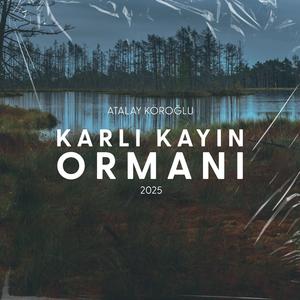 Karlı Kayın Ormanı