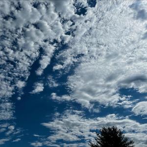 Dancing Mindfulness #3 (Slow Dance)