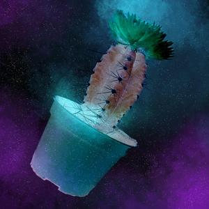 Mammillaria Dixanthocentron